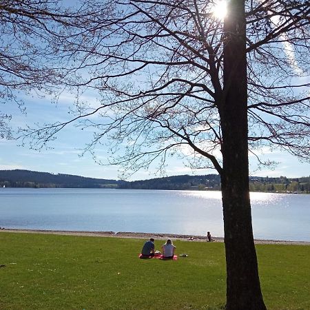 Apartman29 Lipno nad Vltavou Esterno foto