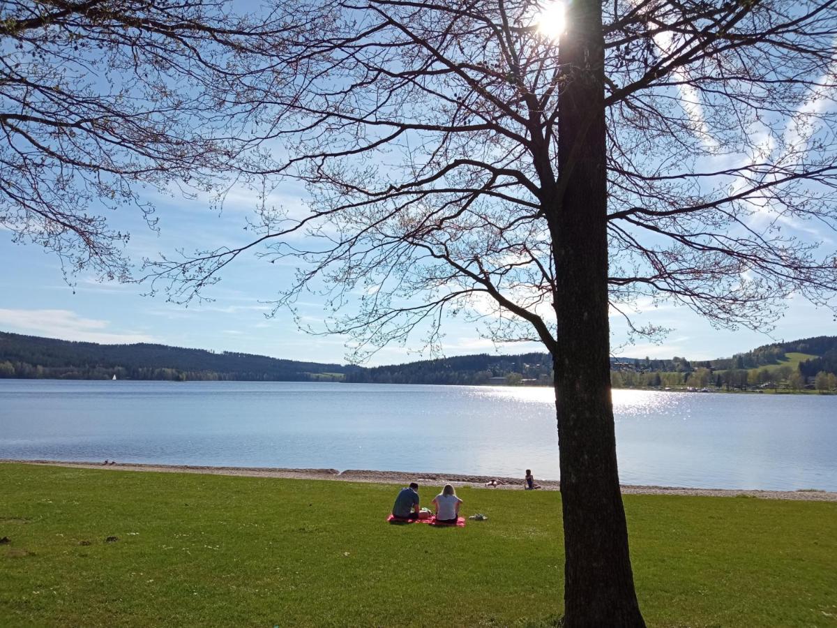 Apartman29 Lipno nad Vltavou Esterno foto